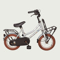 12.542 kinderfiets - BikeFlip