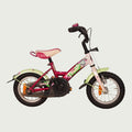 12.569 kinderfiets - BikeFlip