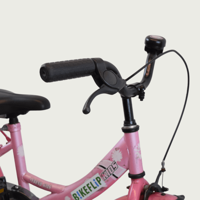 16.119 - BikeFlip