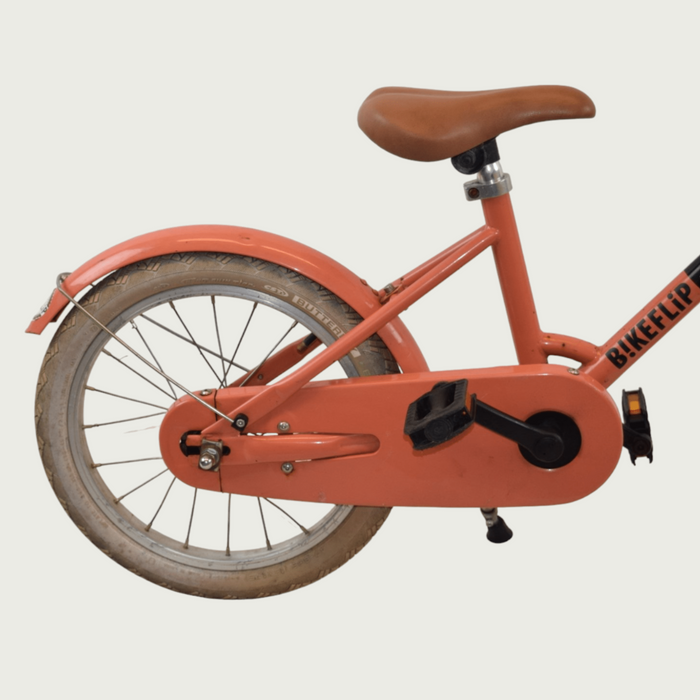 16.209 - BikeFlip