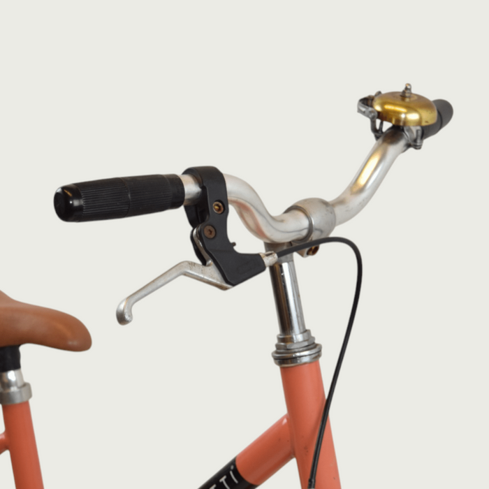 16.209 - BikeFlip