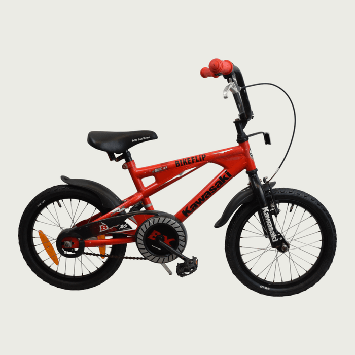 16.253 - BikeFlip
