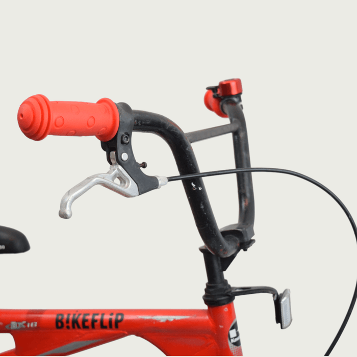 16.253 - BikeFlip