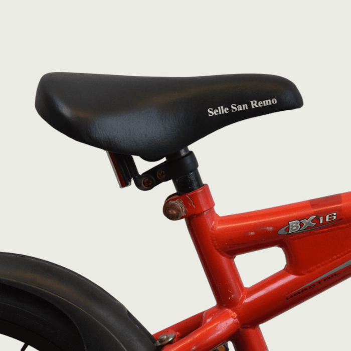 16.253 - BikeFlip