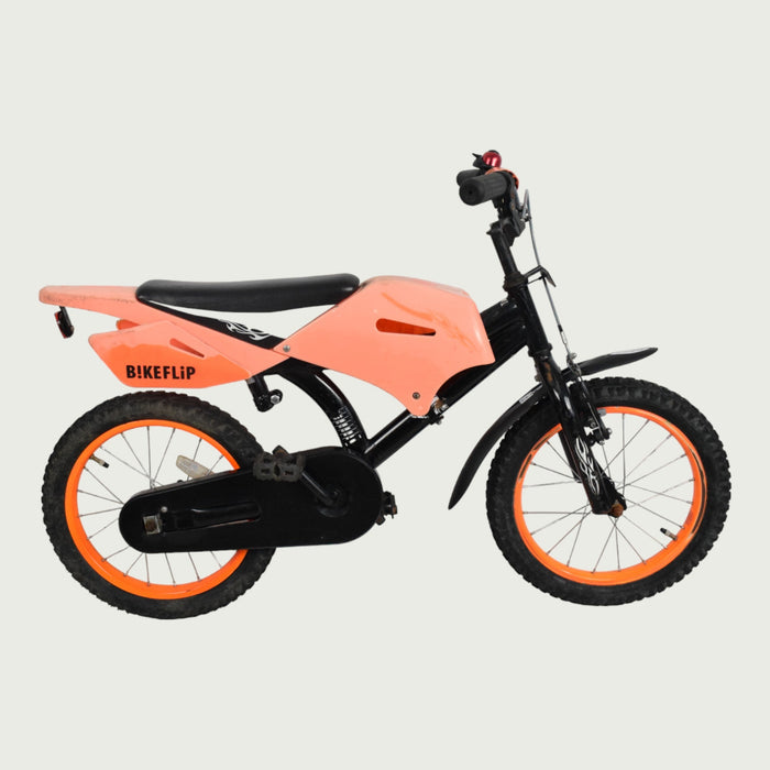 16.295 - BikeFlip