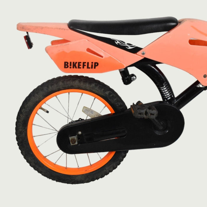 16.295 - BikeFlip