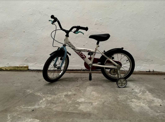 16.2 - BikeFlip
