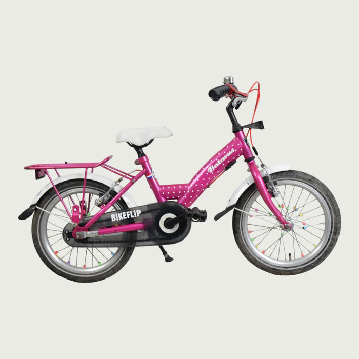 16.312 - BikeFlip