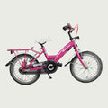 16.312 - BikeFlip