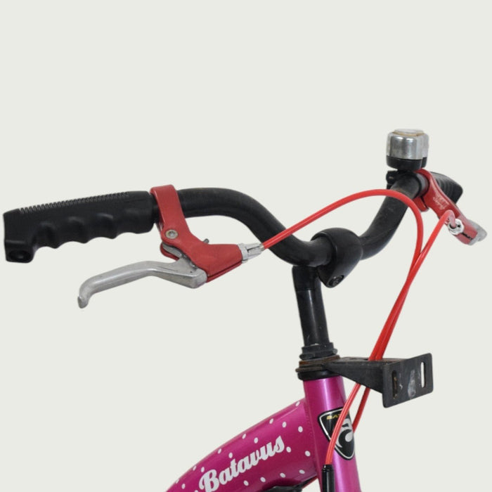 16.312 - BikeFlip
