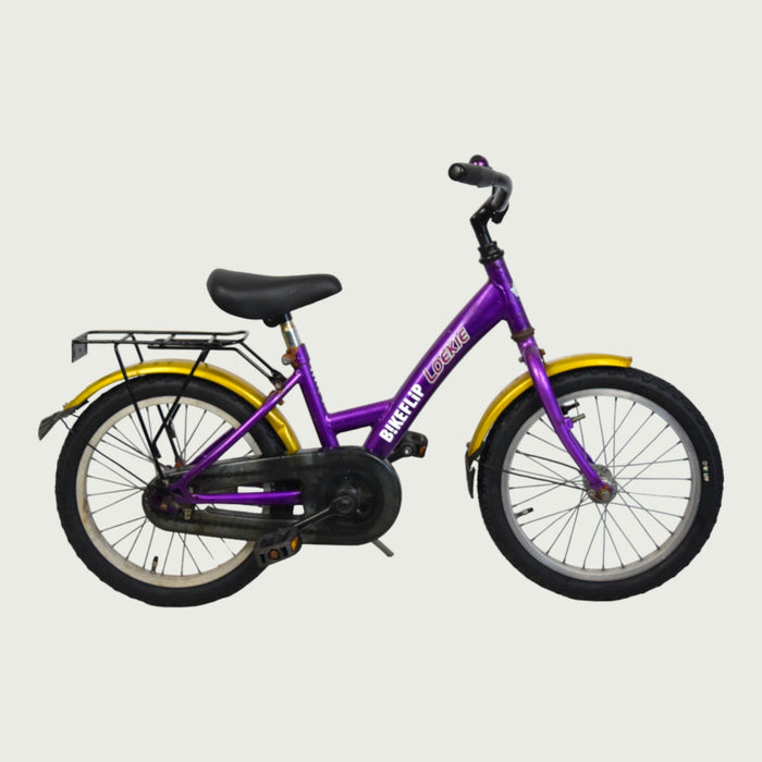 16.321 - BikeFlip