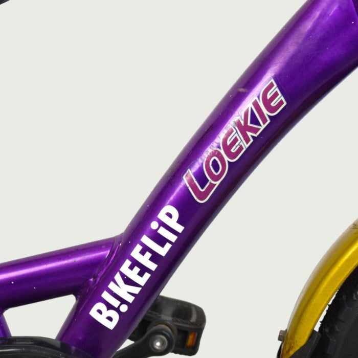16.321 - BikeFlip