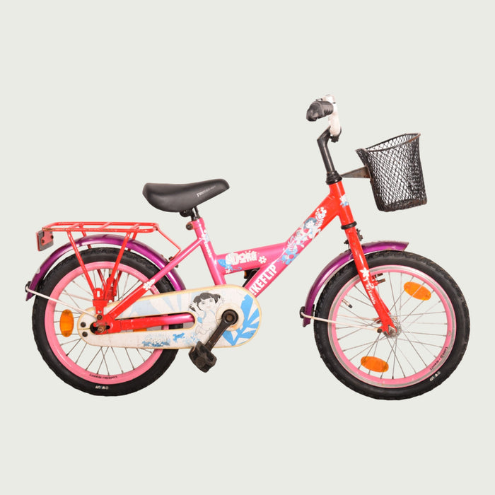 16.328 - BikeFlip