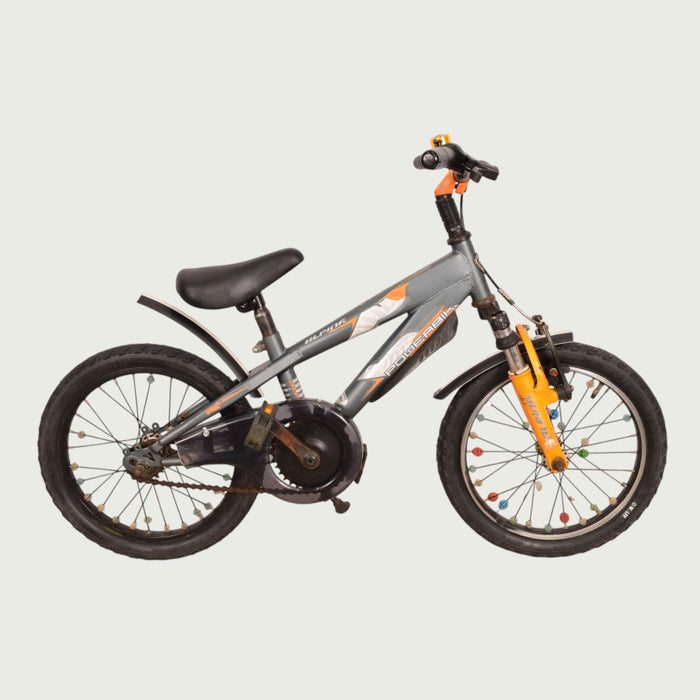 16.500 - BikeFlip