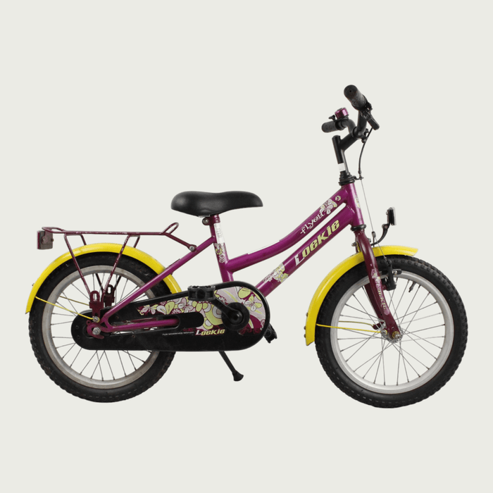 16.54 - BikeFlip