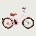16.585P - BikeFlip