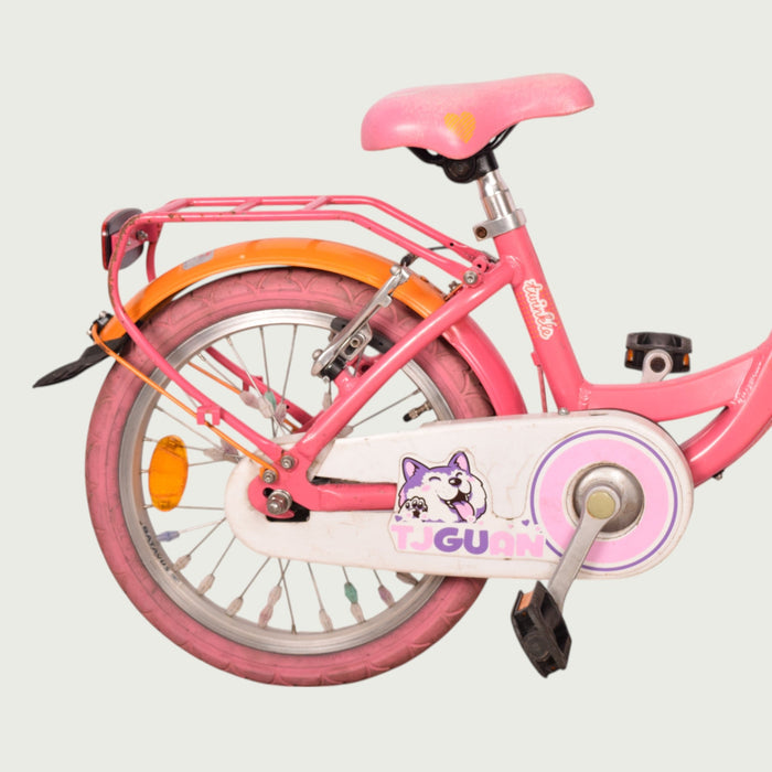 16.613 - BikeFlip