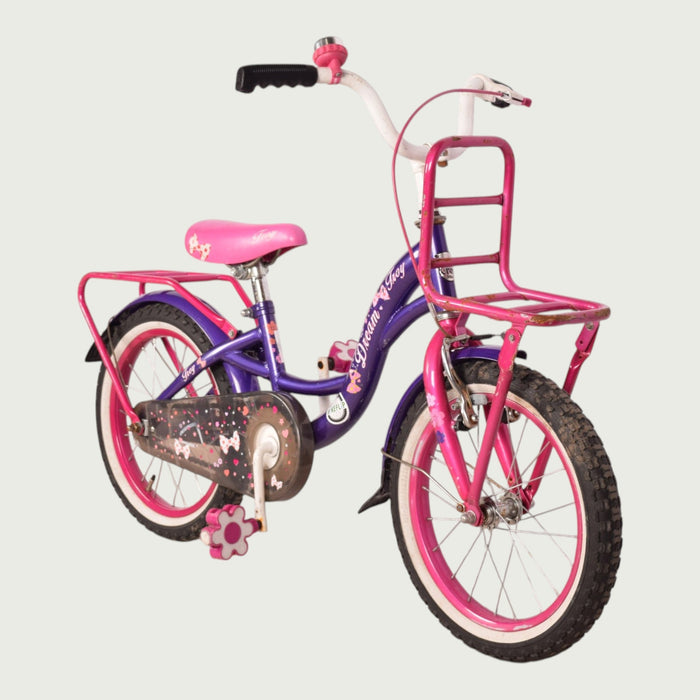16.883 kinderfiets - BikeFlip