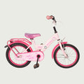 16.946 kinderfiets - BikeFlip