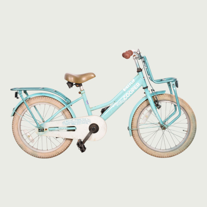 18.254 - BikeFlip