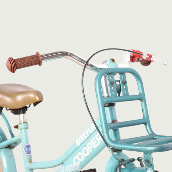 18.254 - BikeFlip