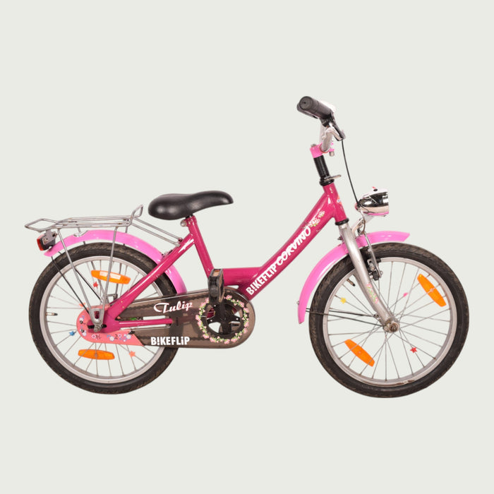 18.263 - BikeFlip