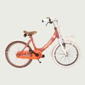 18.296 - BikeFlip