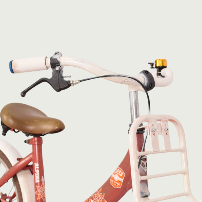 18.296 - BikeFlip