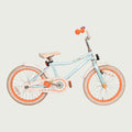 18.313 - BikeFlip
