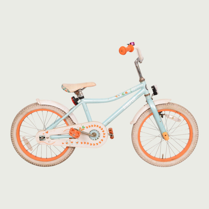 18.313 - BikeFlip
