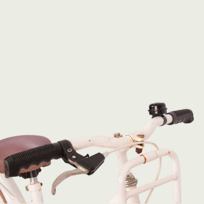 18.317 - BikeFlip