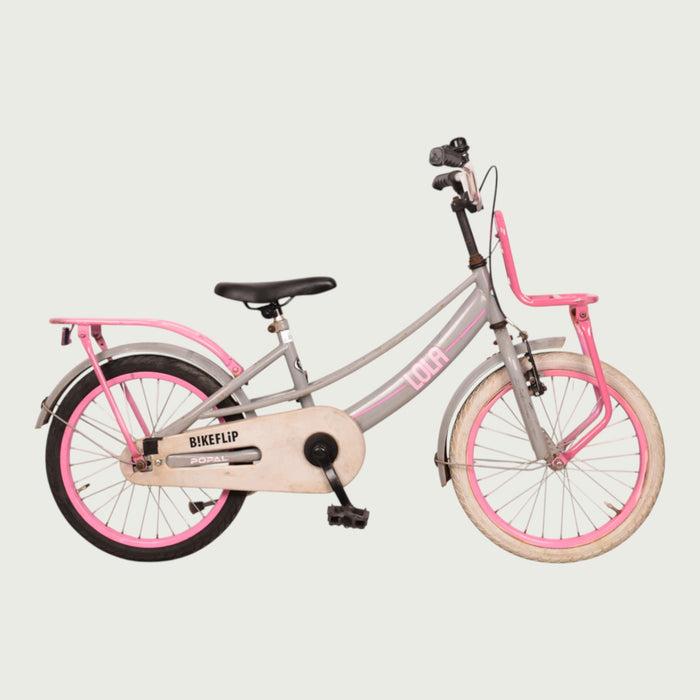 18.324 - BikeFlip
