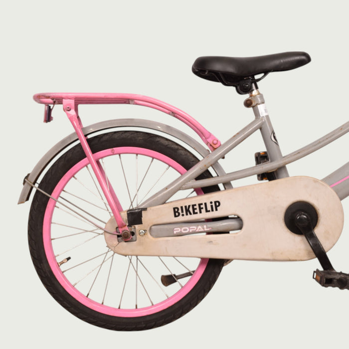 18.324 - BikeFlip