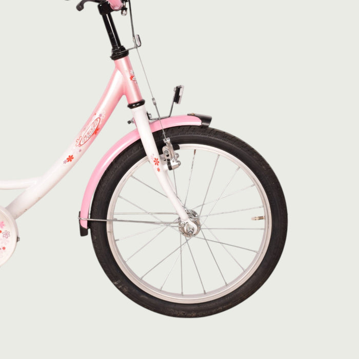 18.524 kinderfiets - BikeFlip