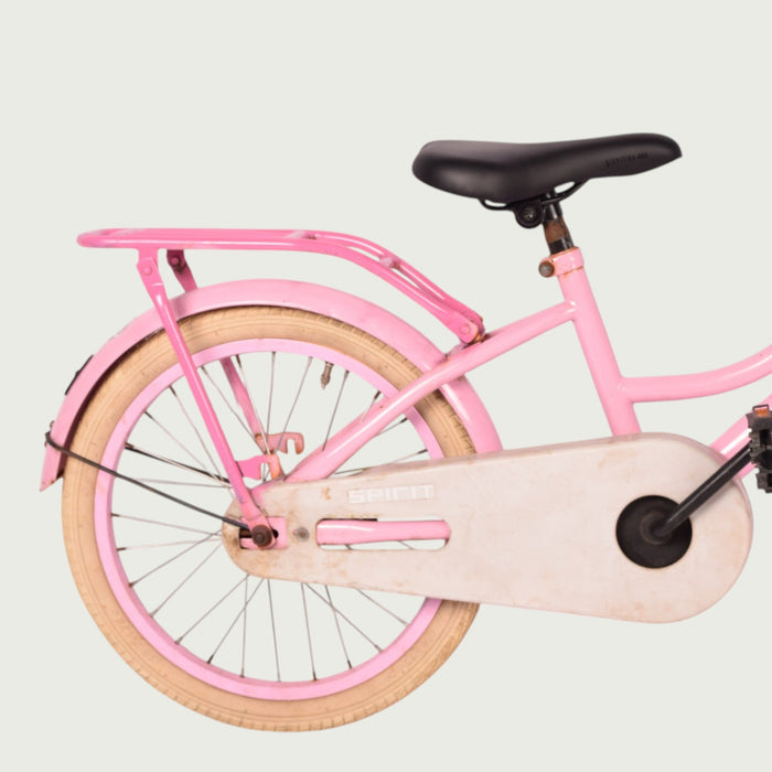 18.543 kinderfiets - BikeFlip