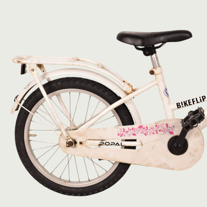 18.553 kinderfiets - BikeFlip