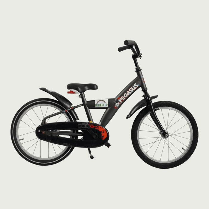 18.55 - BikeFlip