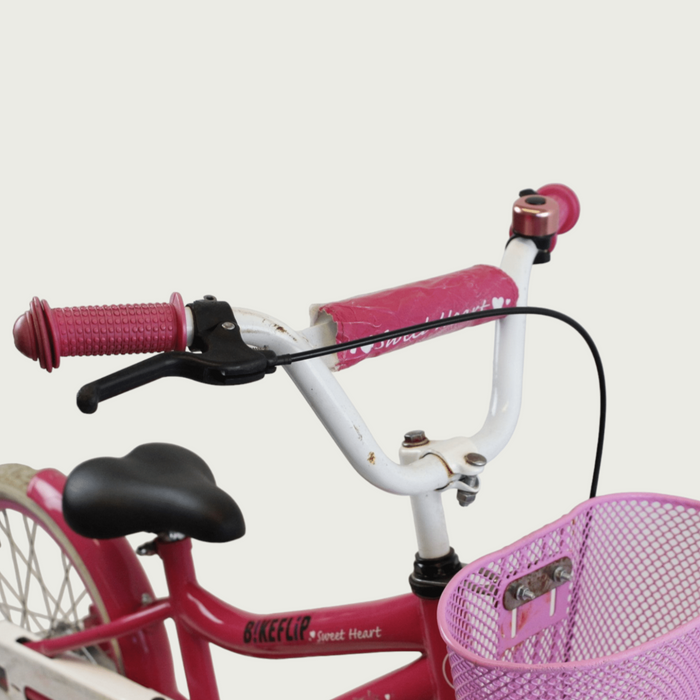 18.77 - BikeFlip