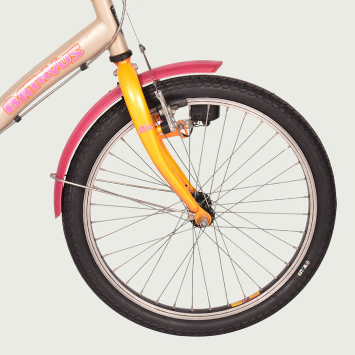 20.1069 kinderfiets - BikeFlip