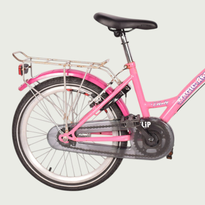 20.1174 kinderfiets - BikeFlip