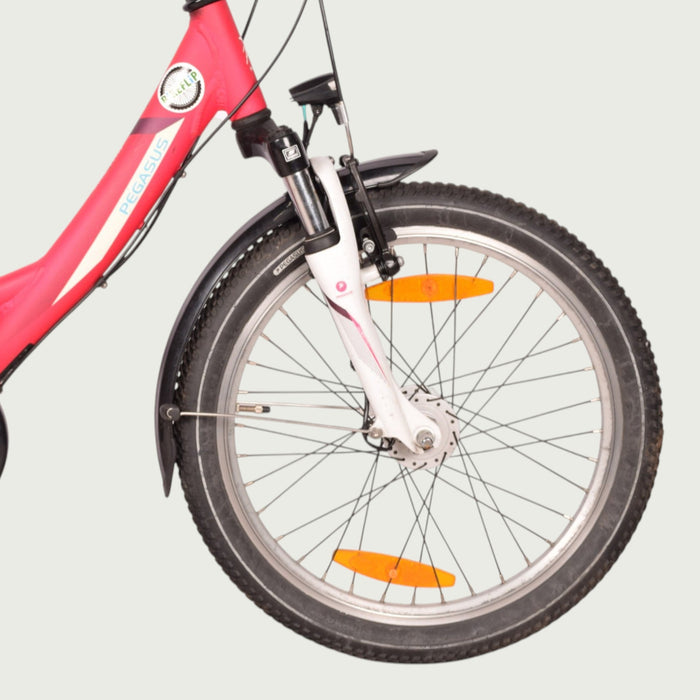 20.1202 kinderfiets - BikeFlip