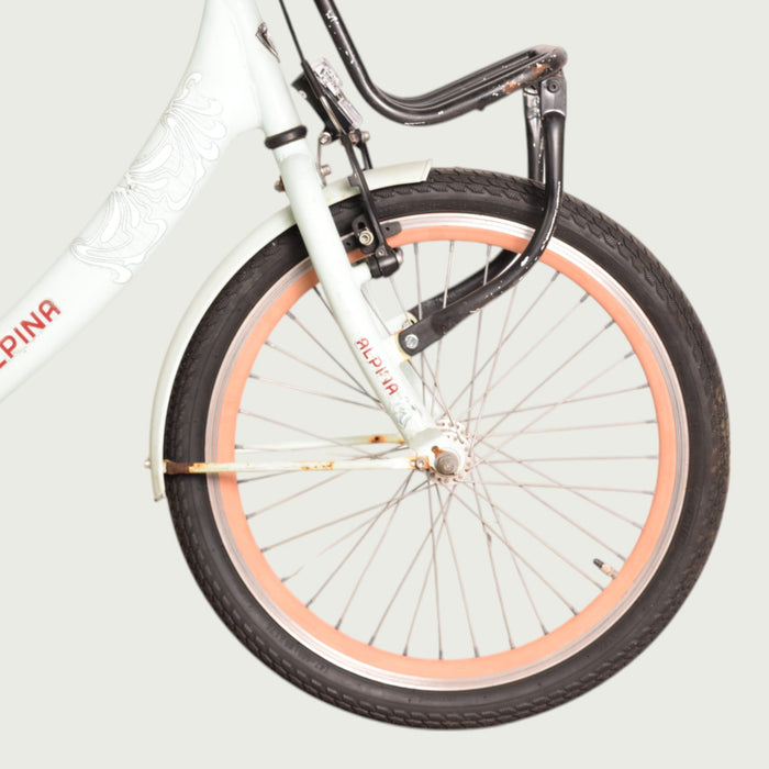 20.120 - BikeFlip