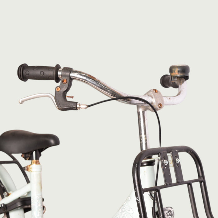 20.120 - BikeFlip