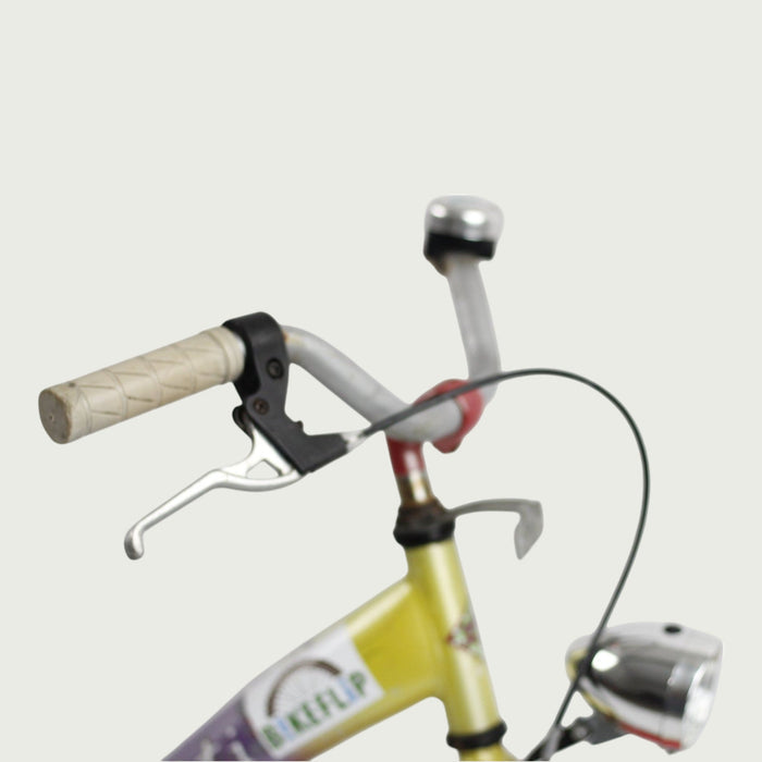 20.139 - BikeFlip