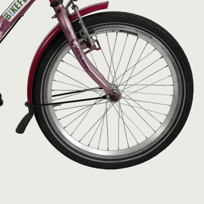 20.145 - BikeFlip
