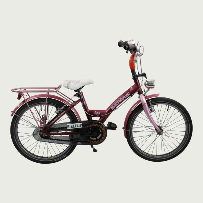 20.147 - BikeFlip