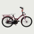 20.147 - BikeFlip