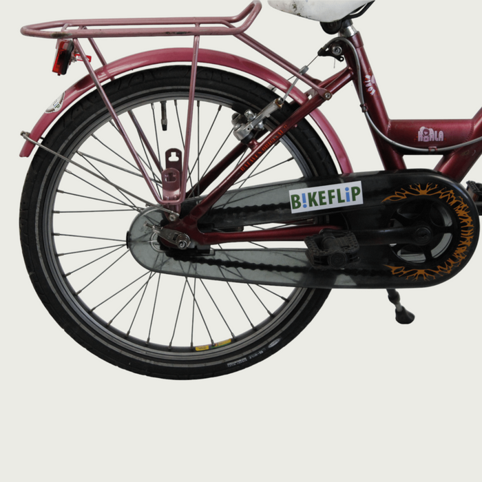 20.147 - BikeFlip