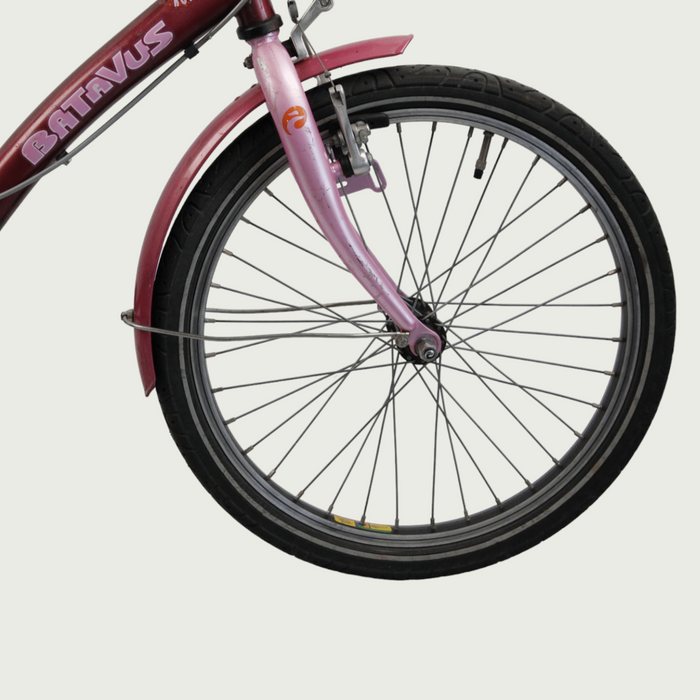 20.147 - BikeFlip
