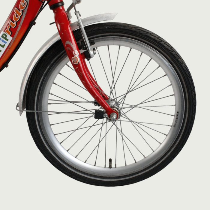 20.172 - BikeFlip